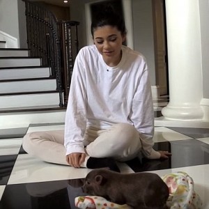 Kylie Jenner's Home Is One Step Closer to Becoming a Farm Thanks to Her New Pet Chicken Kylie Jenner's Home Is One Step Closer to Becoming a Farm Thanks to Her New Pet Chicken